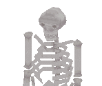 Skeleton