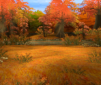 Autumn Forest