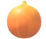 Onion