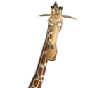 Melman