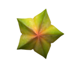 Goal Star Fruit