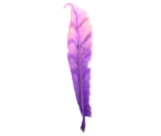 Purple Feather