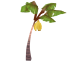 Banana Plant