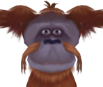 Orangutan