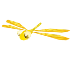 Yellow Dragonfly