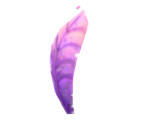 Purple Feather