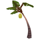 Banana Plant