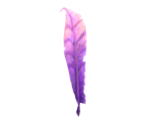 Small Purple Feather