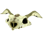 Nerbil Skull