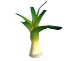 Prize Leek