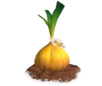 Prize Onion