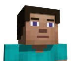 Steve (Story Mode)