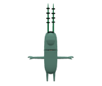 Plankton