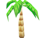 Palm Tree