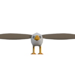 Seagull