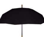 Umbrellas