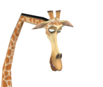 Melman