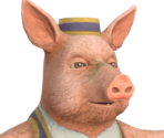 Pig