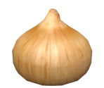 Onion Replica