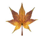 Brown Maple Leaf