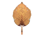 Dead Leaf