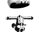 020 Skeleton Gear