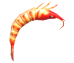 003 Prawn Bow