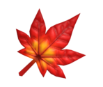 003 Maple Leaf