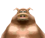 Pig