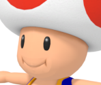 Toad