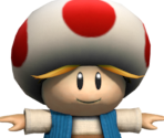 Toad Man