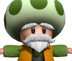 Toad Old Man